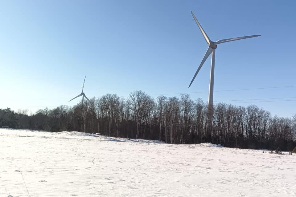 Tuulikud talvisel maastikul, mis moodustavad Eesti lipu värvid.