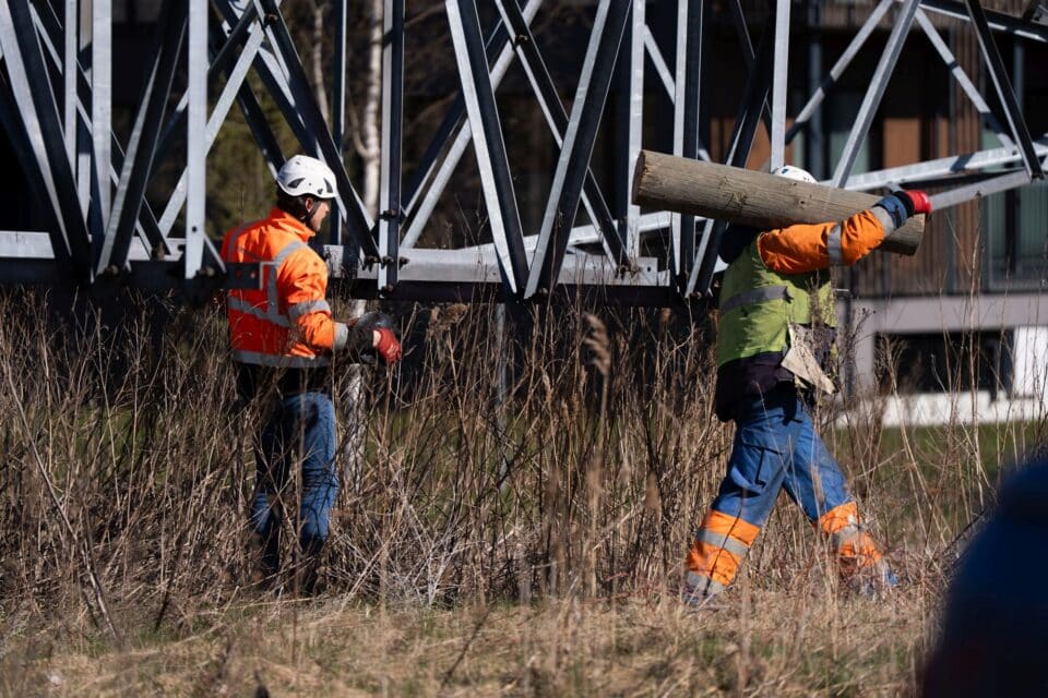 Langetatud õhuliinide alt vabaneb Veskimetsa-Harku 4,2-kilomeetrisel trassil 30 jalgpalliväljaku suurune ala.