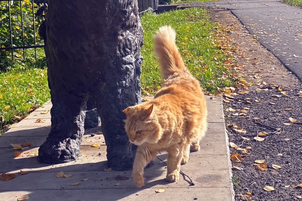 Promenaadi algusesse paigaldatakse Kass Augusti skulptuur kohaliku kuulsa kassi auks.
